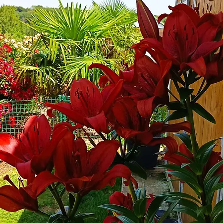 Dans Endroit Atypique Holiday home Flamets-Fretils