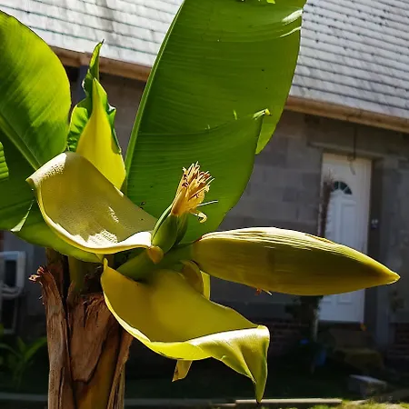 Holiday home Dans Endroit Atypique *