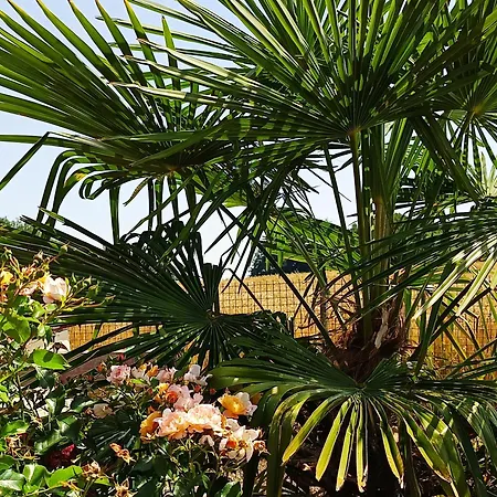 Dans Endroit Atypique *