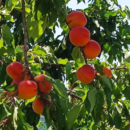 Dans Endroit Atypique Holiday home Flamets-Fretils